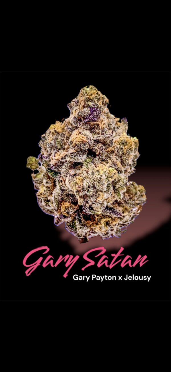 Gary Satan - Image 4