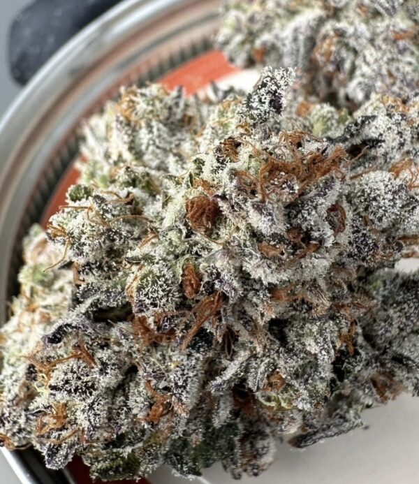 Ooze Blizzard f2 - Image 5