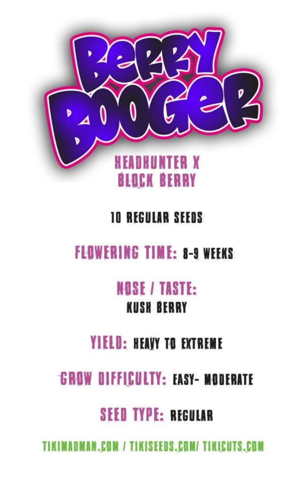 Berry Booger (Block Head Collab) - Image 2