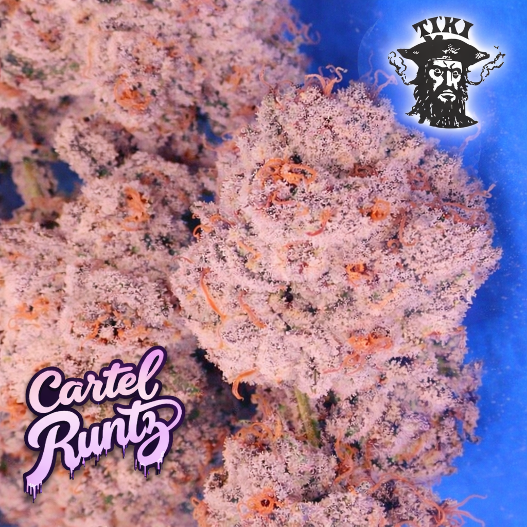 Cartel Runtz - Image 3