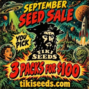 Buy 3 Packs for $100