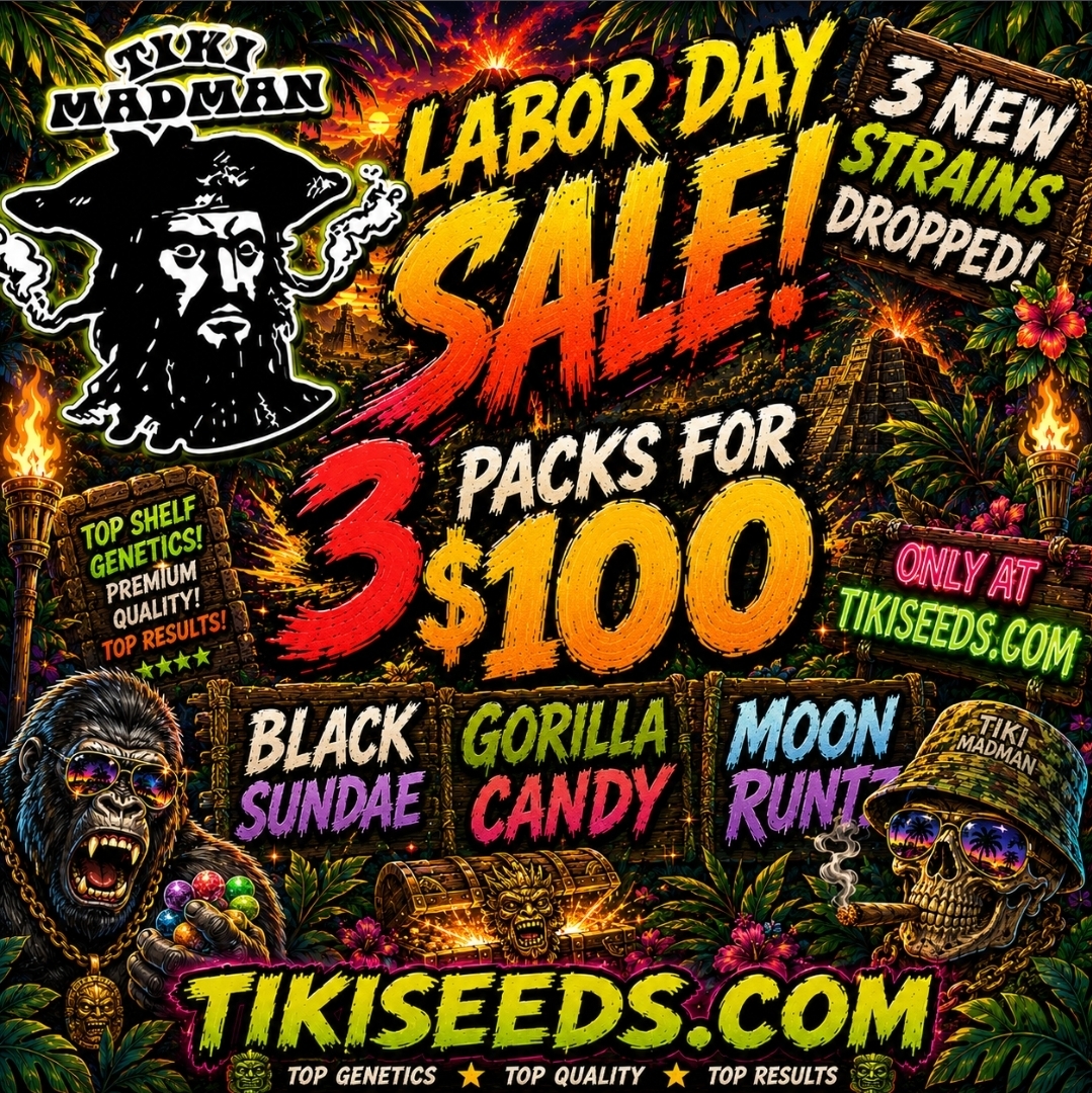 3-packs-100