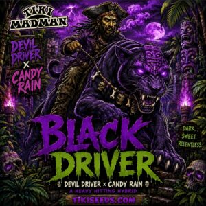 Black Driver